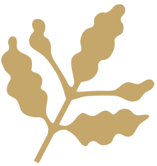 Floating Cove Leaf Particle